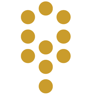 Holistic University logo